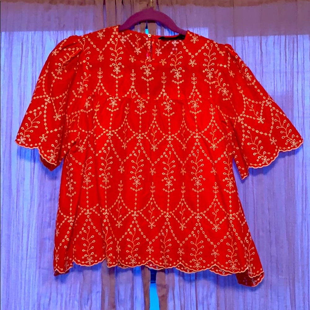 Zara embroidered flutter sleeve top